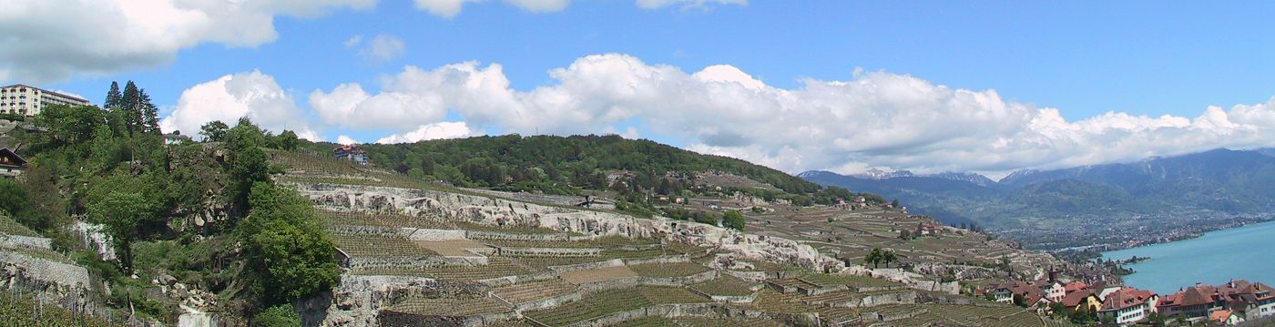 Suisse/Leman/Lavaux/pano2.jpg